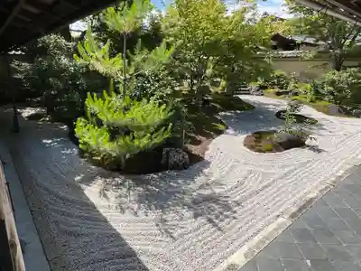 黄梅院(京都府)