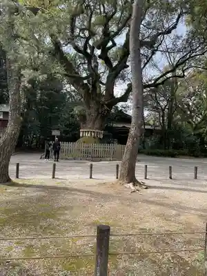 熱田神宮(愛知県)