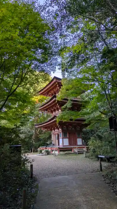 浄瑠璃寺(京都府)