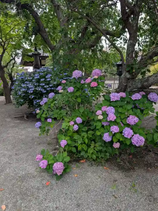 本覚寺(神奈川県)