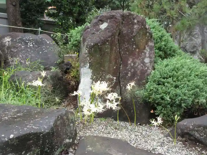 妙法寺のその他建物