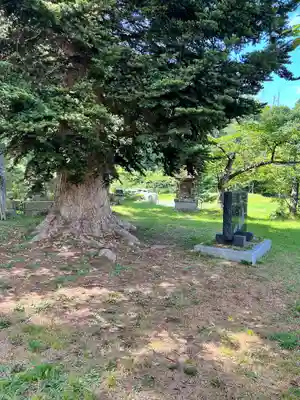 愛宕羽山両神社(山形県)