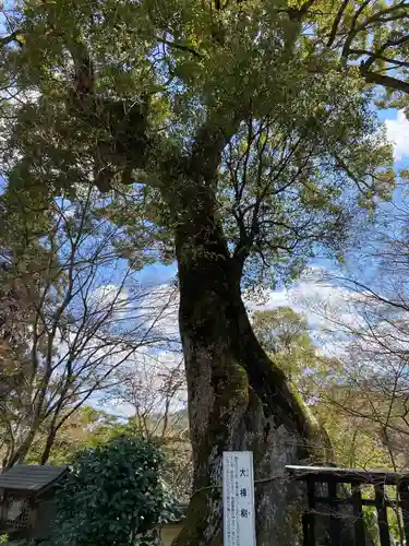 十輪寺の庭園