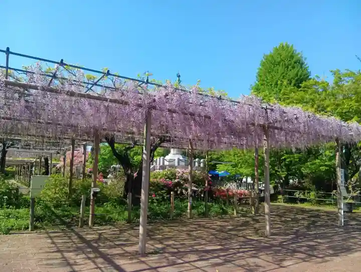 曼陀羅寺(愛知県)