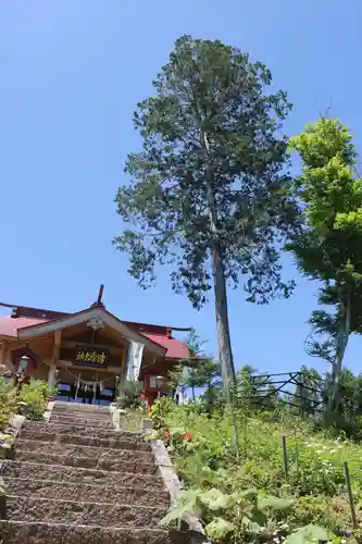 津島神社の本殿・本堂