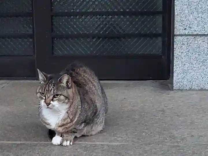 白金氷川神社の動物