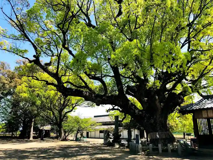 大善寺玉垂宮の自然