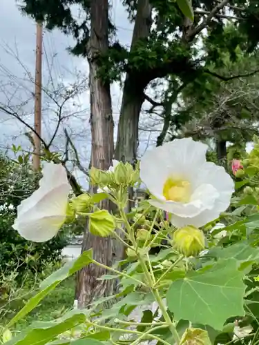 惠心院の庭園