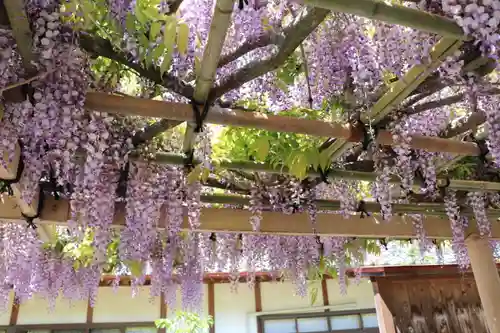 金蛇水神社の自然