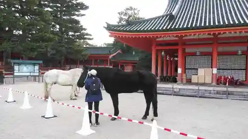 平安神宮の動物
