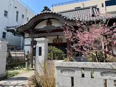 法泉院(東京都)