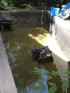 石内のお大師さん 金剛院(広島県)(2022年07月05日(火) 19時32分13秒投稿)