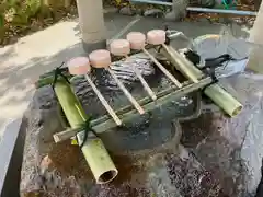 亀戸天神社(東京都)