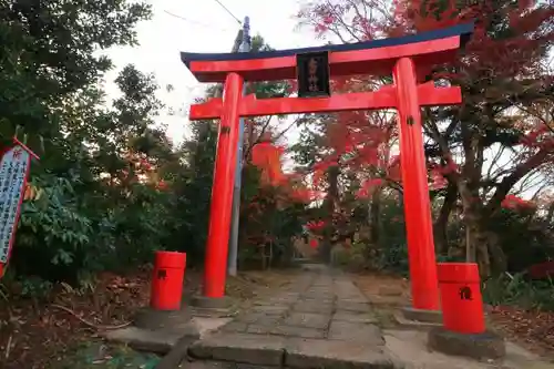 愛宕神社の鳥居