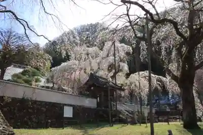 清雲寺(埼玉県)