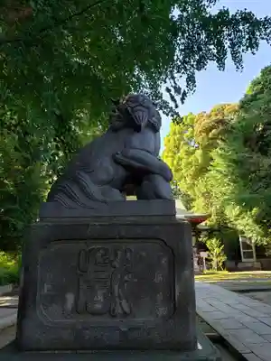 中野氷川神社の狛犬