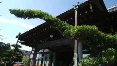 寶林寺の本殿・本堂