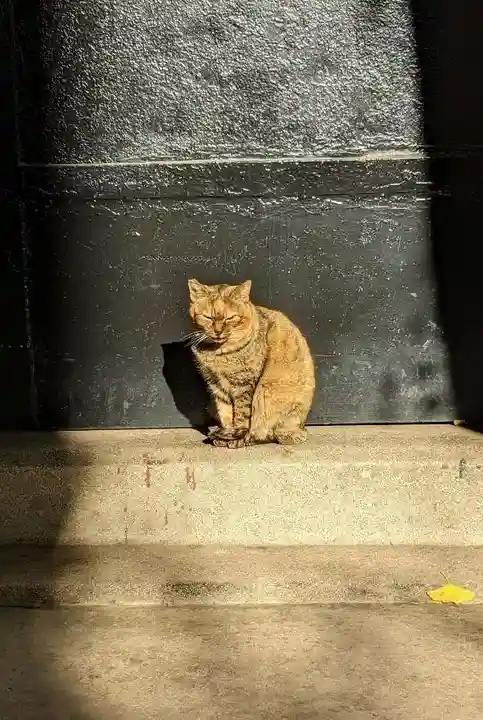 小野照崎神社の動物