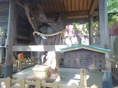 鶴嶺八幡宮(神奈川県)