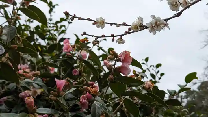 惠心院(京都府)