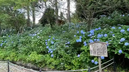 彌勒寺(宮城県)