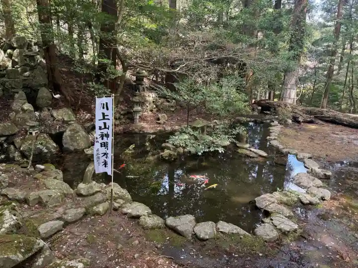 川上山若宮八幡宮の{uncategorized: "未分類", other: "その他", undefined: "問題あり", building: "その他建物", grave: "お墓", sacred_gate: "鳥居", guardian: "狛犬", statue: "像", buddha: "仏像", history: "歴史", nature: "自然", garden: "庭園", animal: "動物", pagoda: "塔", temizu: "手水舎", mountain_gate: "山門・神門", sanctuary: "本殿・本堂", subordinate: "末社・摂社", art: "芸術", scenery: "景色", jizo: "地蔵", ema: "絵馬", goshuin: "御朱印", omikuji: "おみくじ", items: "授与品その他", amulet: "お守り", goshuincho: "御朱印帳", eats: "食事", festival: "お祭り", votive_dance: "神楽", shichigosan: "七五三参", wedding: "結婚式", experience: "体験その他", initially: "初詣", around: "周辺", anti_infection: "感染症対策"}