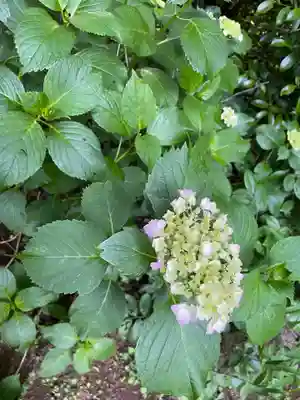 大生郷天満宮(茨城県)