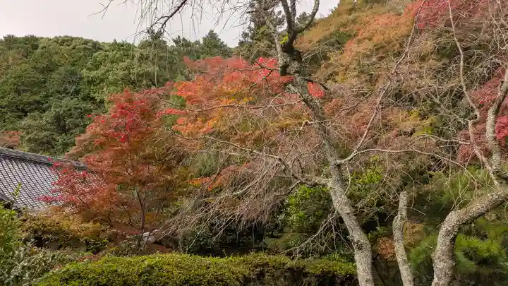 金蔵寺(京都府)