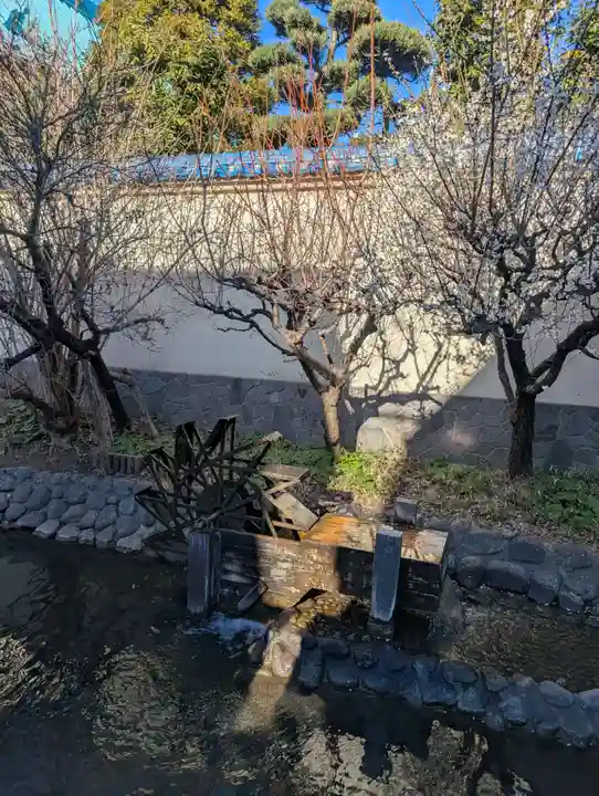 東光院(東京都)