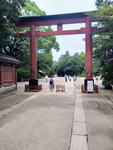 武蔵一宮氷川神社の鳥居