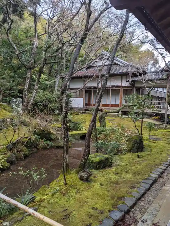 常寂光寺(京都府)