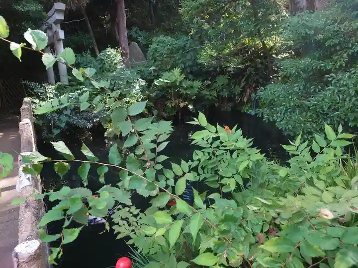 杵築大社(東京都)