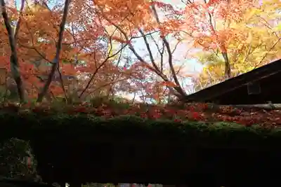 祇王寺(京都府)