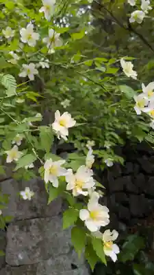 椎尾神社(大阪府)