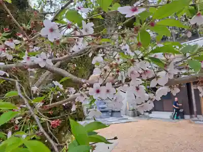 医光寺(徳島県)