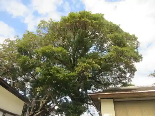 天照大神(神奈川県)