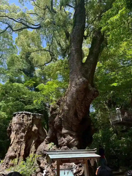來宮神社(静岡県)