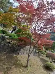 福泉寺の自然