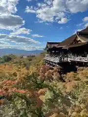 清水寺の景色