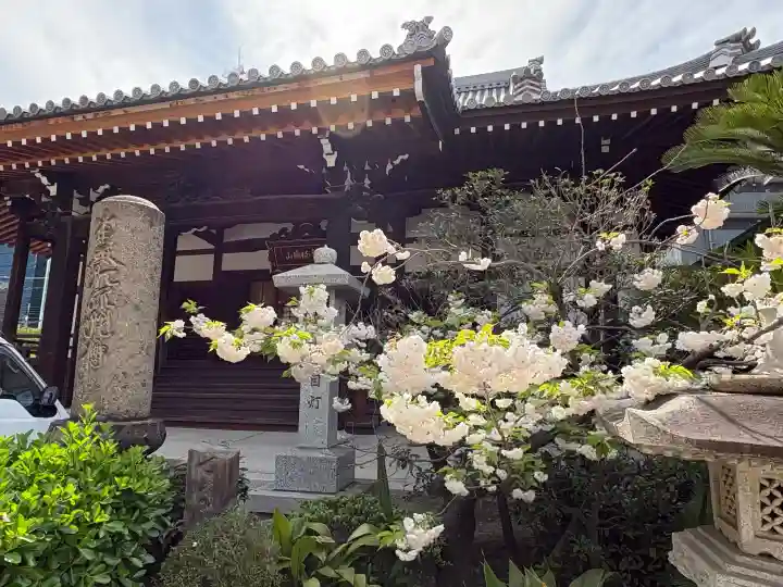 浜本山 源光寺の{uncategorized: "未分類", other: "その他", undefined: "問題あり", building: "その他建物", grave: "お墓", sacred_gate: "鳥居", guardian: "狛犬", statue: "像", buddha: "仏像", history: "歴史", nature: "自然", garden: "庭園", animal: "動物", pagoda: "塔", temizu: "手水舎", mountain_gate: "山門・神門", sanctuary: "本殿・本堂", subordinate: "末社・摂社", art: "芸術", scenery: "景色", jizo: "地蔵", ema: "絵馬", goshuin: "御朱印", omikuji: "おみくじ", items: "授与品その他", amulet: "お守り", goshuincho: "御朱印帳", eats: "食事", festival: "お祭り", votive_dance: "神楽", shichigosan: "七五三参", wedding: "結婚式", experience: "体験その他", initially: "初詣", around: "周辺", anti_infection: "感染症対策"}