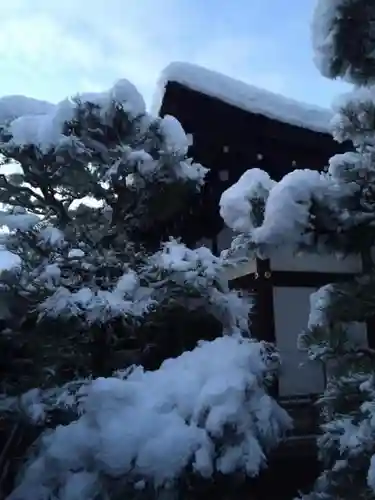 賀茂御祖神社（下鴨神社）の景色