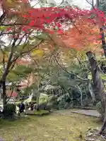 勝持寺(花の寺)の自然