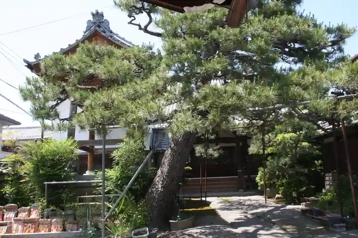 圓光寺(滋賀県)