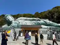 南蔵院の{uncategorized: "未分類", other: "その他", undefined: "問題あり", building: "その他建物", grave: "お墓", sacred_gate: "鳥居", guardian: "狛犬", statue: "像", buddha: "仏像", history: "歴史", nature: "自然", garden: "庭園", animal: "動物", pagoda: "塔", temizu: "手水舎", mountain_gate: "山門・神門", sanctuary: "本殿・本堂", subordinate: "末社・摂社", art: "芸術", scenery: "景色", jizo: "地蔵", ema: "絵馬", goshuin: "御朱印", omikuji: "おみくじ", items: "授与品その他", amulet: "お守り", goshuincho: "御朱印帳", eats: "食事", festival: "お祭り", votive_dance: "神楽", shichigosan: "七五三参", wedding: "結婚式", experience: "体験その他", initially: "初詣", around: "周辺", anti_infection: "感染症対策"}