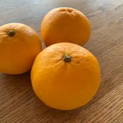 滑川神社 - 仕事と子どもの守り神の食事