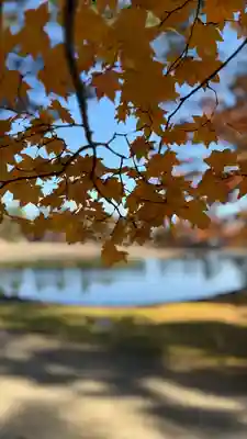 毛越寺(岩手県)