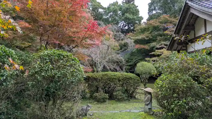 金蔵寺(京都府)