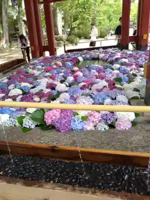 太宰府天満宮の手水舎