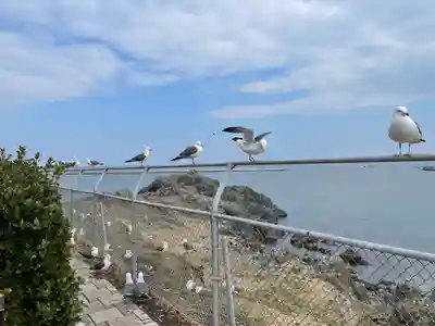 蕪嶋神社(青森県)