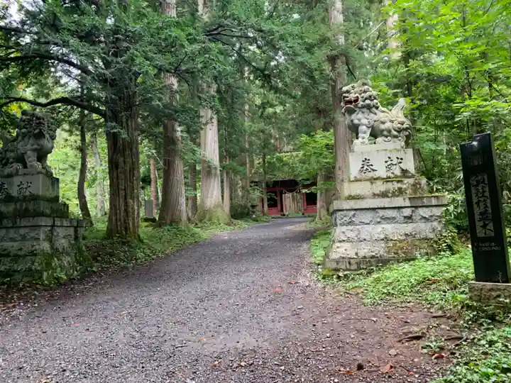 戸隠神社奥社のその他建物